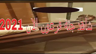 شاهد جثة فرعون 2021 | سبحان الله #shorts