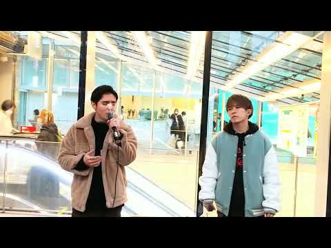 RefRise   ♪大阪恋物語/やしきたかじん(cover)