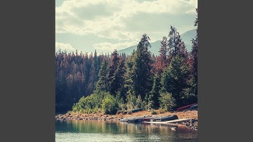 Pulsating Backdrops for Improving Mental Health