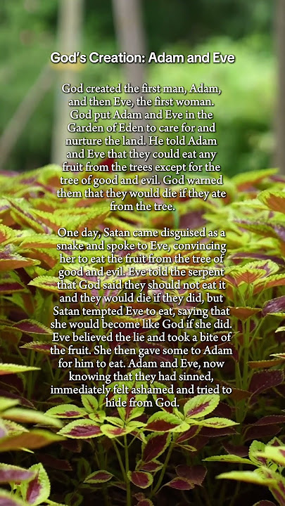 Children's story: God created Adam and Eve