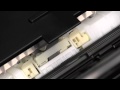 Inkjet Printer Feed Roller Maintenance