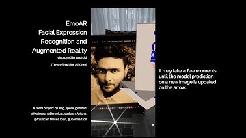 EmoAR - Facial Expression Recognition and Augmented Reality