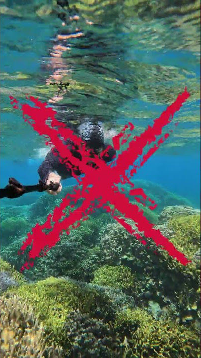 How to STAY UNDERWATER without floating up | Pujada Bay 🇵🇭