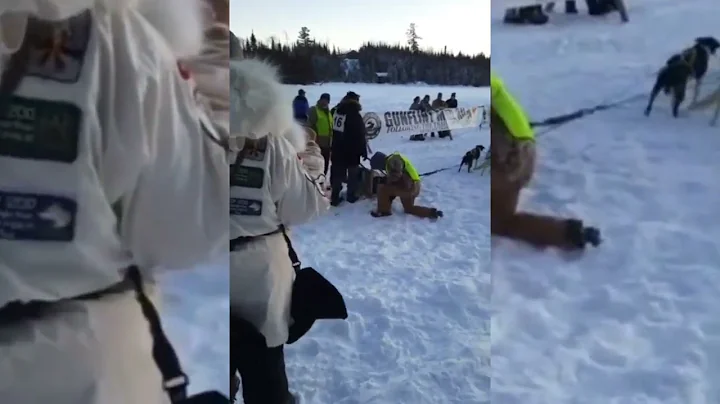 Gunflint sled dog race 2023