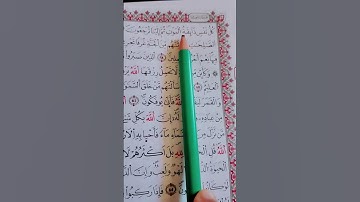 سورة العنكبوت #اكسبلور #المصحف #القارئ
