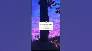 Thumbnail of Song: dusty bibles