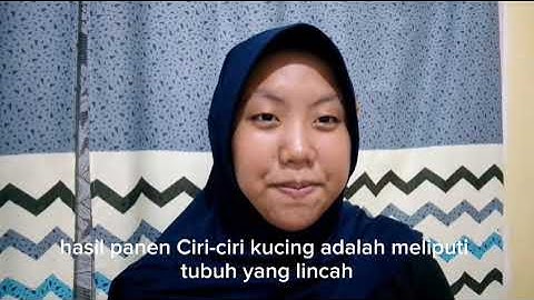 TUGAS INFORMATIKA KELAS IX | BAB 3 TIK-VLOG