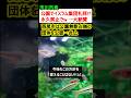 市川市「公園でイスラム集団礼拝!? 永久禁止でw」 →一方、許可した西尾市は…