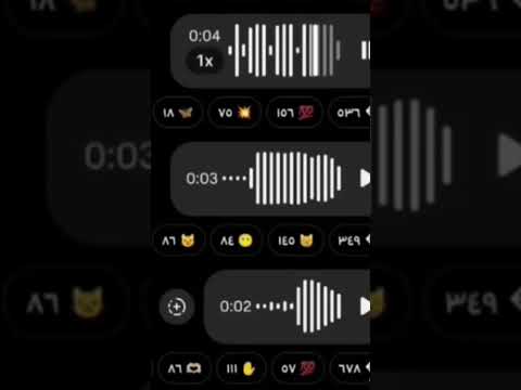 قناة الشامي تسريب أغنية كيفو بس بدون مياو مياو عالدم سوا