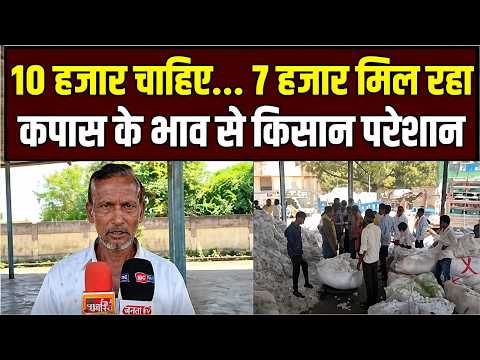 Barwani Mandi Cotton Rate: कपास के भाव से किसान बेहद मायूस!