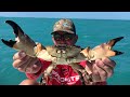 GIANT STONE CRAB Catch Clean & Cook