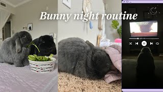 Our Bunny Night Routine!