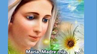 Maria, Madre di Dio