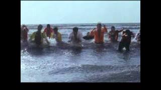 Sundra Sundra Sundra (Full Song), Film - Rakshak