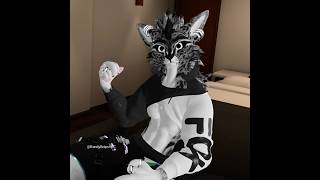 Furry Room Parties