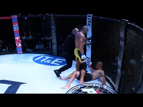 PXC 50 | Primer | The Legacy of PXC