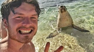 When animals and men do funny things!😅Funniest Animal and Human