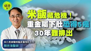 你吃的米安全嗎? 小心「重金屬」吃下肚! 毒物醫示警:恐增多腫癌風險 @健康我加1CtiHealthyme @中天電視CtiTv