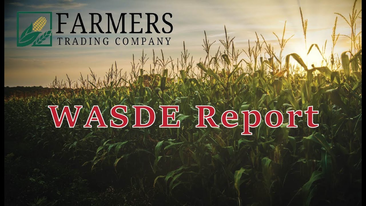 April WASDE Report