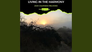 Harmonize the Energies