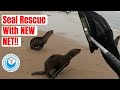 Seal Rescue: NEW NET Put to Test!!!!