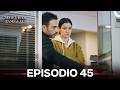 Segreti Di Famiglia Episodio 45 (Doppiaggio in italiano)