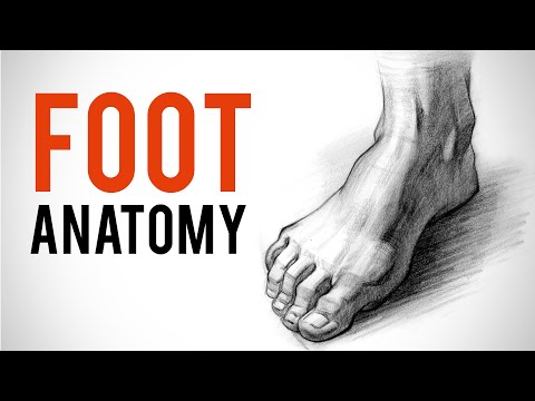 How to Draw Feet