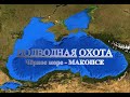 Подводная охота в Чёрном море - Макопсе: на лобана с заманухой