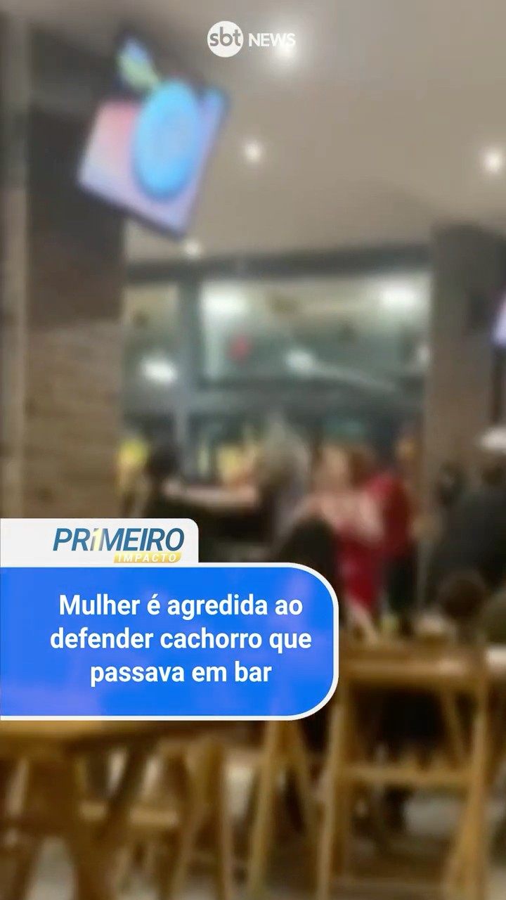 Mulher é agredida ao defender cachorro que passava em bar