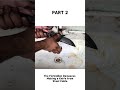 Part 2: The Forbidden Damascus #knifeskills #shorts