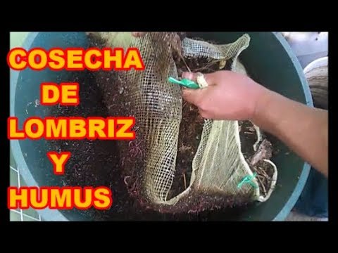 Video: Cómo instalar una ventilación de techo: 12 pasos (con imágenes)