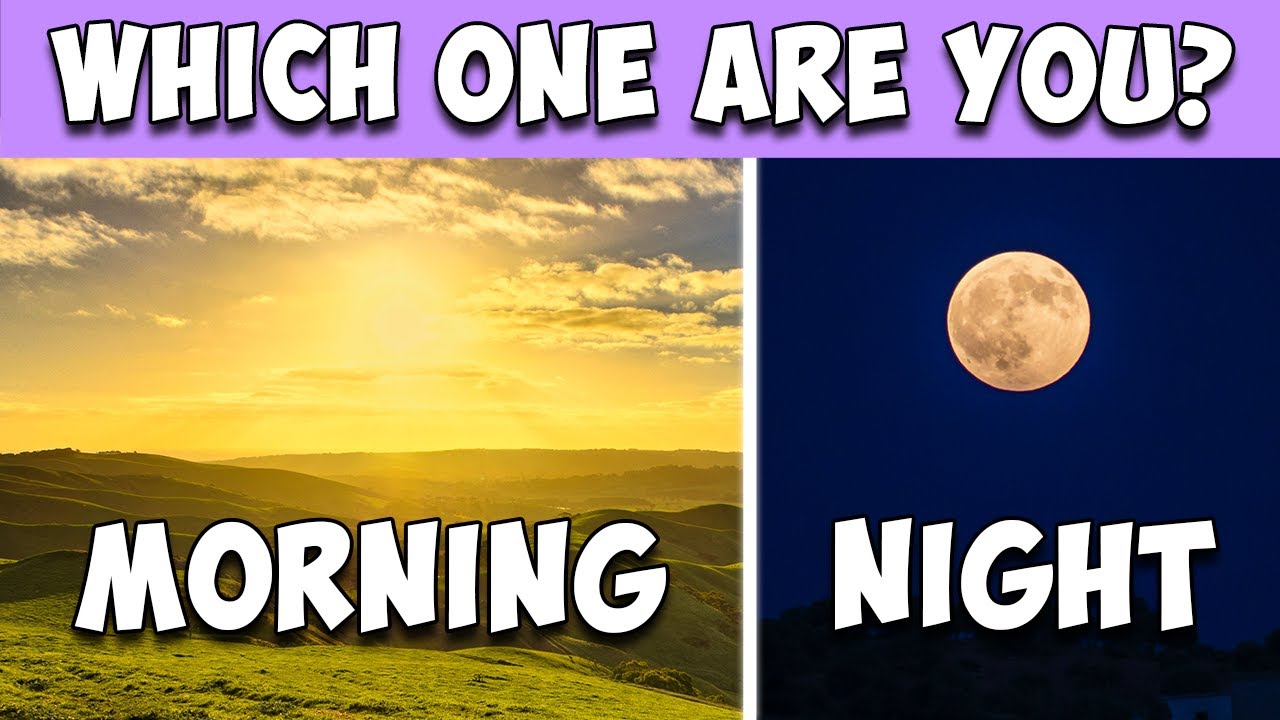 I Found Out If I Am A Morning Or Night Person BuzzFeed Quiz YouTube