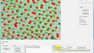 Able Particle Tracker: Example 3 - tracking of particular type of particles