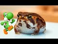 🐸 Yoshi ⊙︿⊙ - Super Mario Bros
