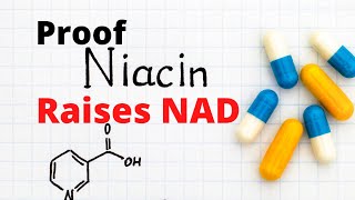 Niacin Raises NAD Levels in Humans: The Proof