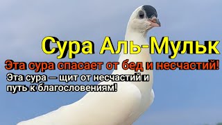 видео: Услышь и почувствуй, как уходит боль. картинка: Услышь и почувствуй, как уходит боль.