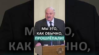 Лукашенко: Не надо класть яйца в одну корзину! // Где просела Витебская область? #shorts
