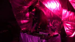 Lilac Angel on January 14, 2018 at The Limin Room, Gainesville, FL