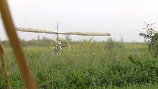 whooping crane training flight white river marsh wi