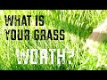 Grass Nutrient Analysis: Quantifying Value and Soil Health