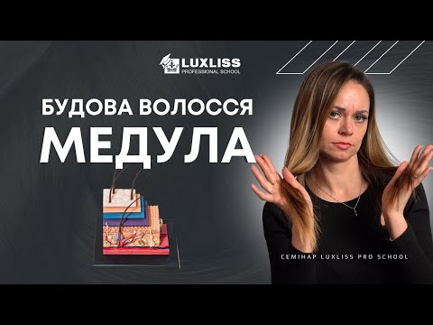 Будова волосся. Медула. Чи можна вбити волосся КЕРАТИНОМ?