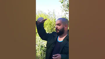 Что делать если на вас нападают хищные птицы
