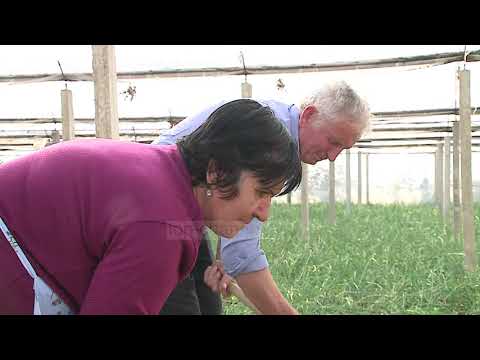 Video: Si mund ta dëmtojnë fermerët tokën e tyre?