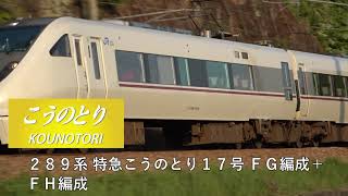 【ＪＲ宝塚線】２８９系同士のすれ違い！！（三田駅〜道場駅間）