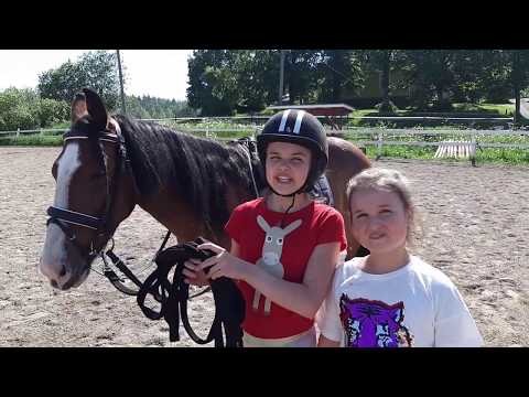 Video: Kuinka Ratsastaa Hevosilla