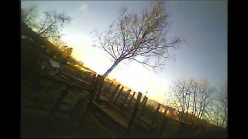 BeeCore Tiny Whoop Practice #3