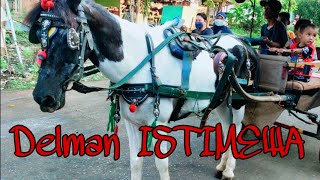 Kuda Delman Putih || Sholawat ALLAHUL KAFI || Horse Traditional Transportation Public