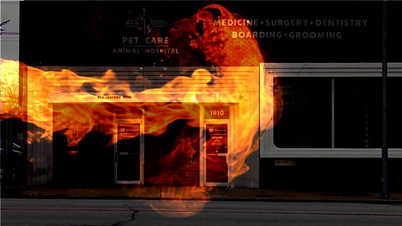 We are Young Parody Music Video - Main Street Pet Care Joplin, MO