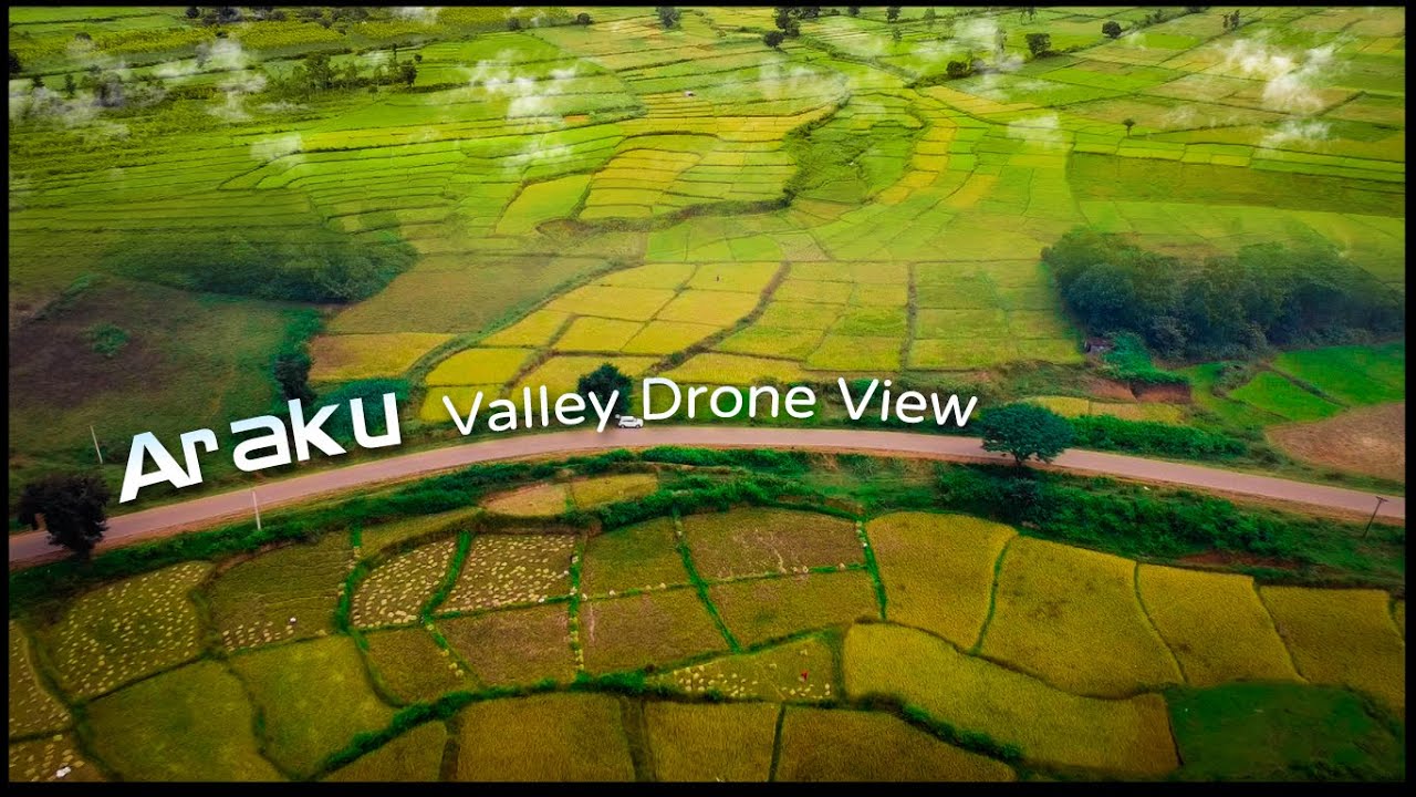 Araku Travel Vlog | Araku Valley | Araku Trip in Telugu | Araku Valley Drone View | Araku DroneShots