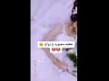 شوفو هاي العروس خطيه مجبوره ع الزواج💔😭😭💔😭💔💔😭💔